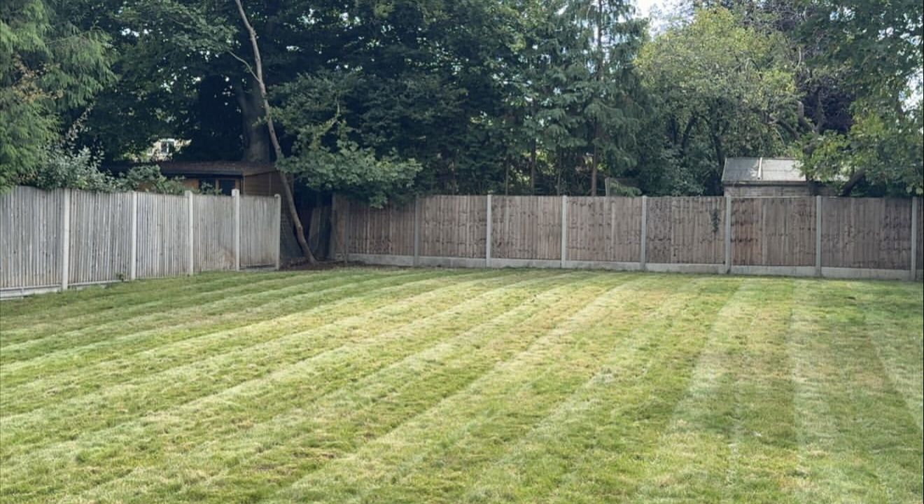 Freshly mown and striped lawn
