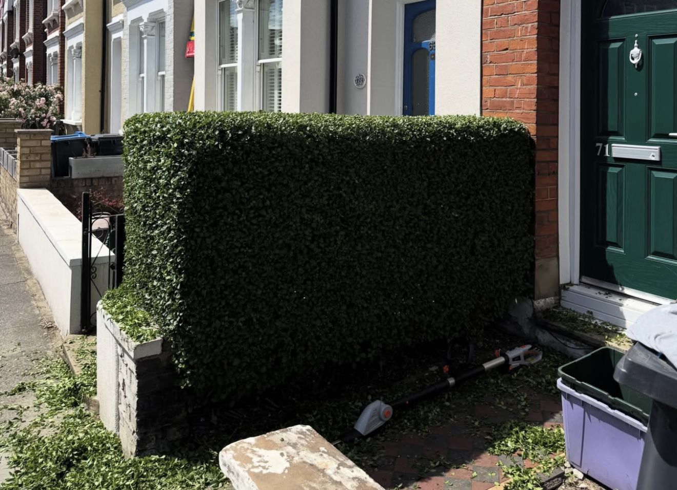 Neatly trimmed hedge outside a house