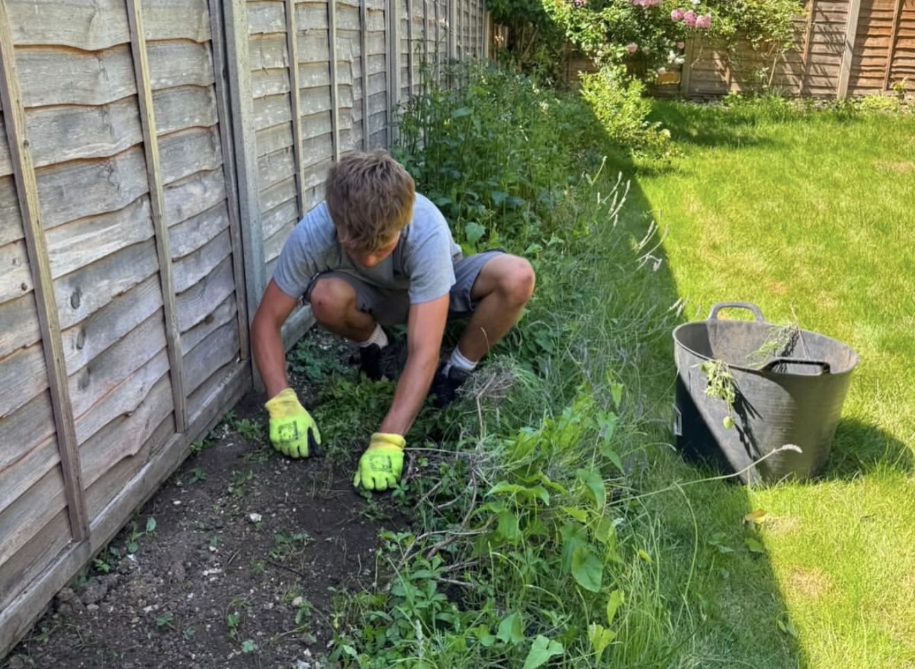 Clearing weeds from a border